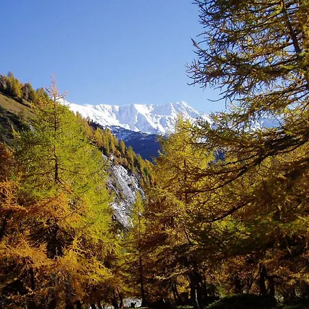 Апартаменты Appartementhaus Zur Loipe